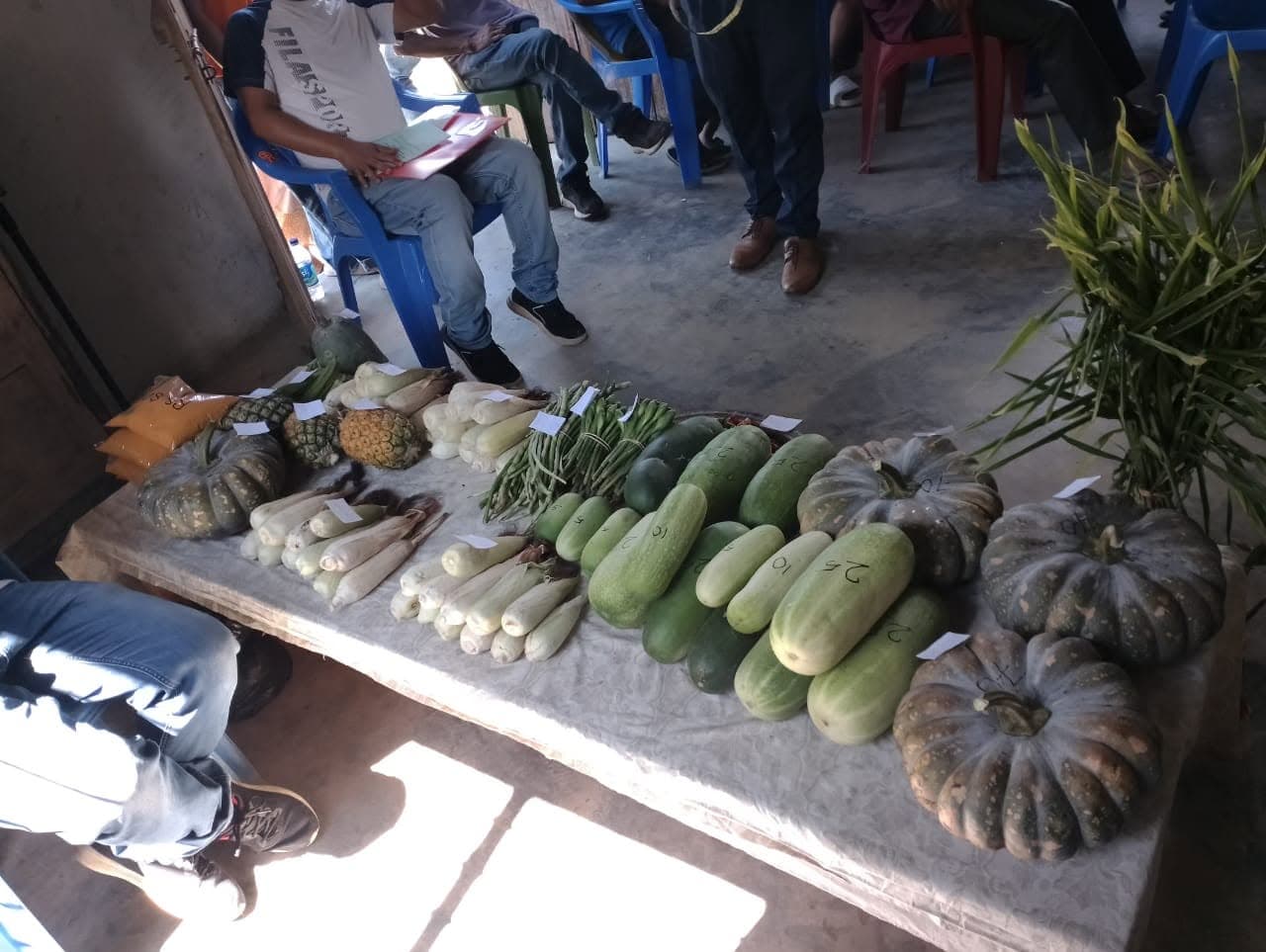 Women’s empowerment through allied-agri farming — photo 4